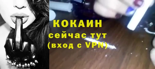 ALPHA PVP Инта