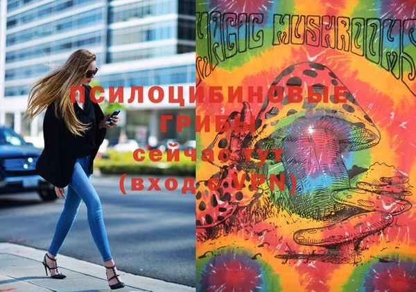 MDMA Premium VHQ Инсар