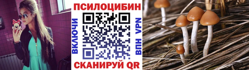 Галлюциногенные грибы Psilocybine cubensis  Купить закладки  Вятские Поляны 